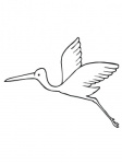 flying-stork