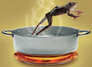 Frog-jump-out-of-boiling-water