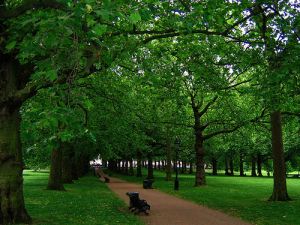 green-park-london