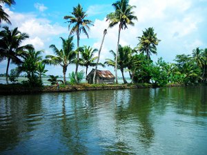 kerala-backwater-images