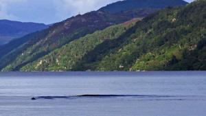 Latest Loch ness Picture