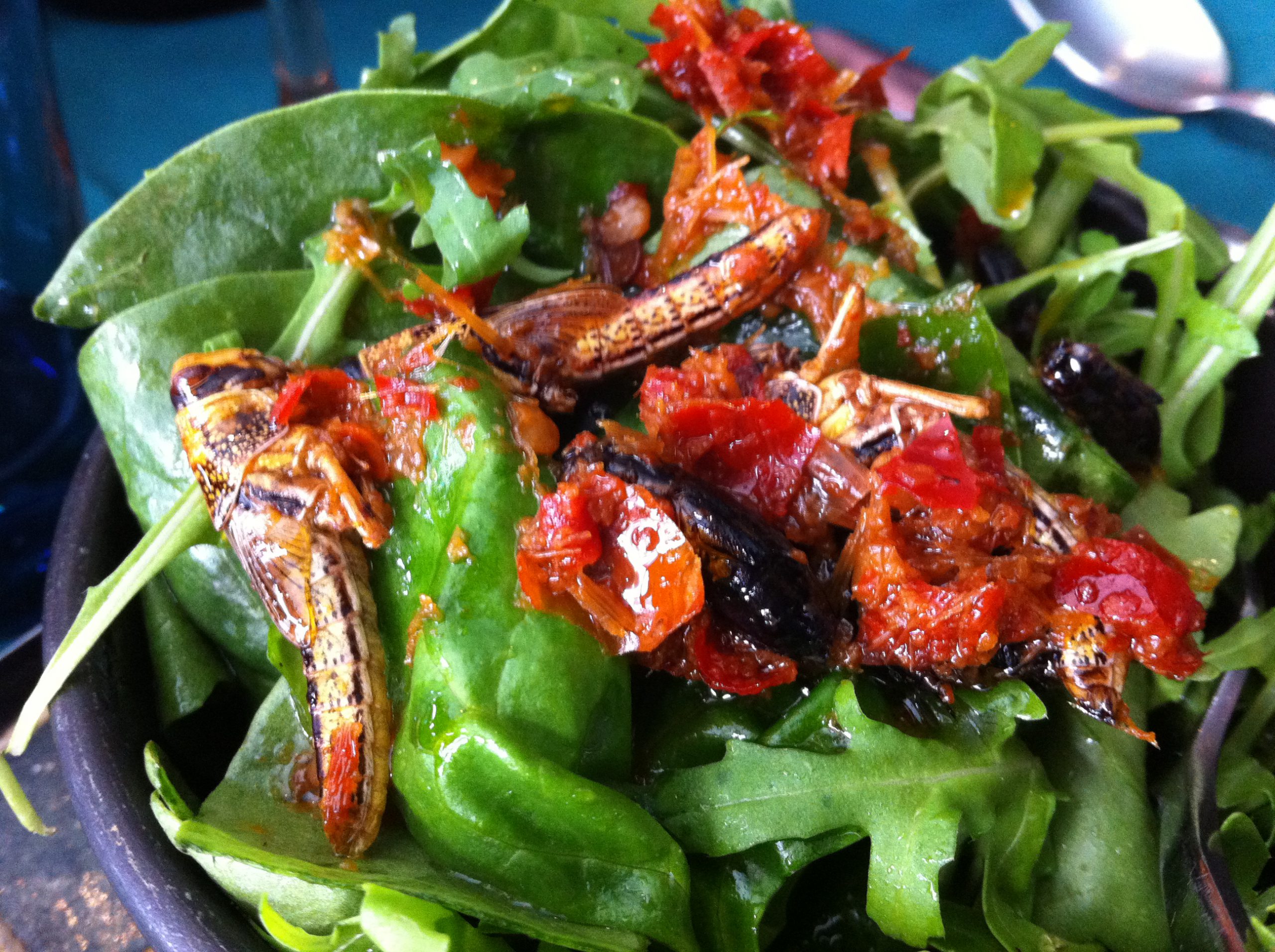 locust-salad