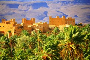 moroccan-kasbah-in-oasis